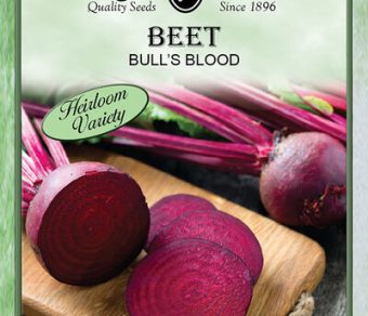 Beet Bull's Blood