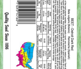 Beet Detroit Dark Red