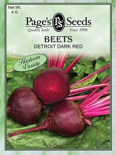 Beet Detroit Dark Red