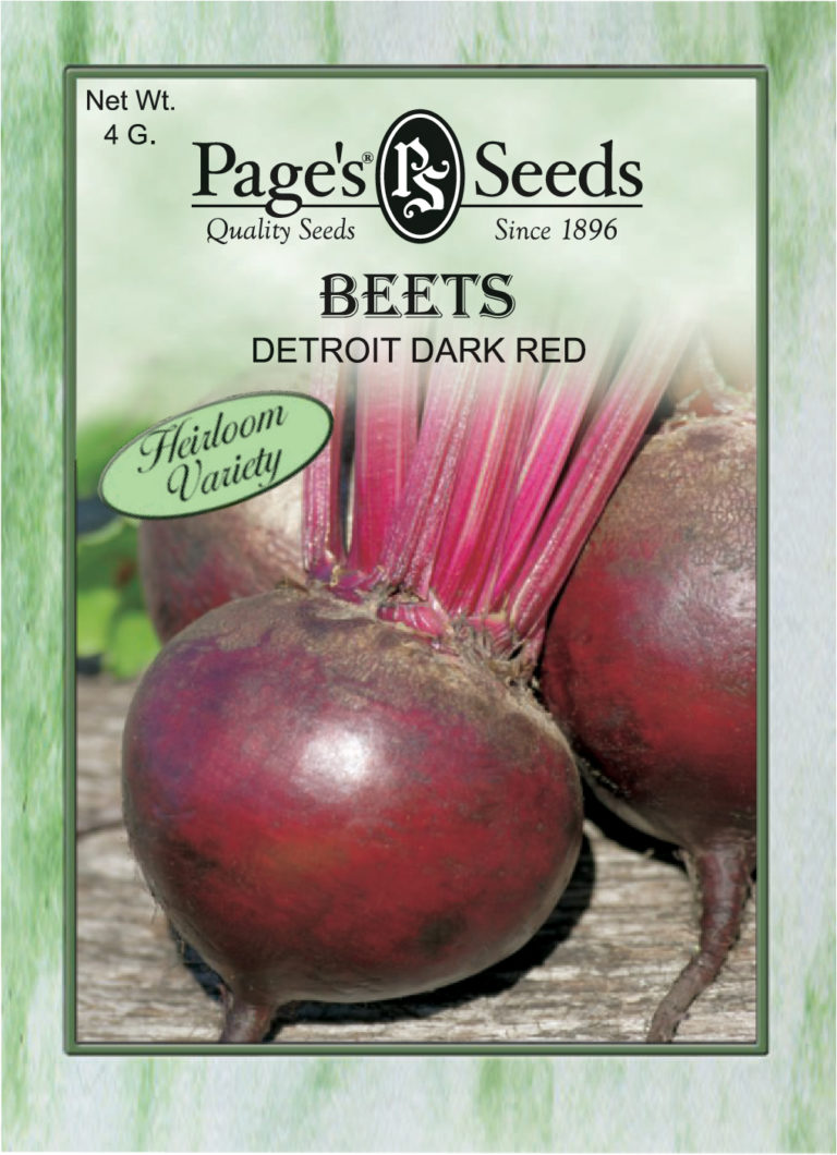 Beets Detroit Dark Red The Page Seed Company, Inc