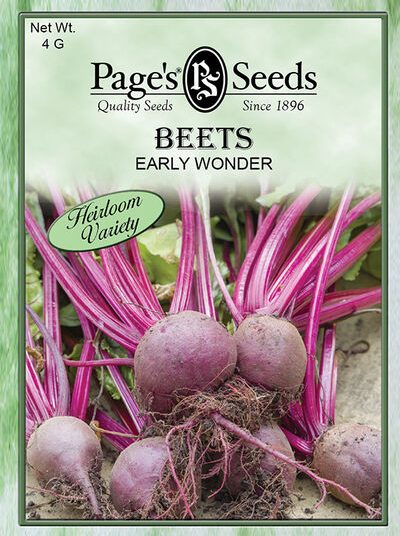 Beet Early Wonder