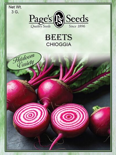 Beet Chioggia
