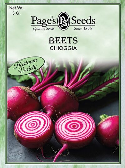 Beet Chioggia