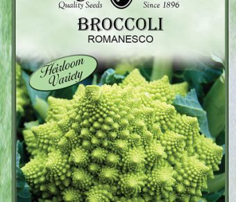 Broccoli Romanesco