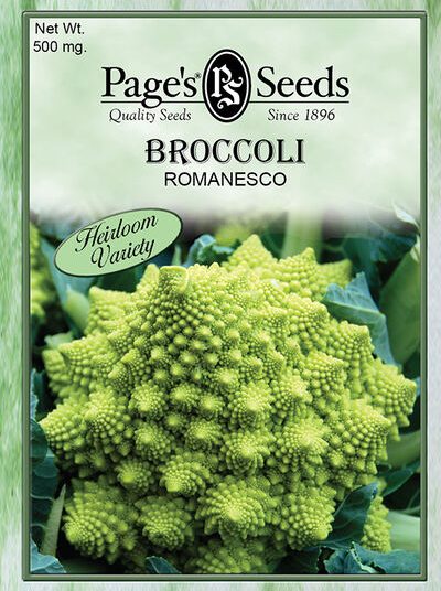 Broccoli Romanesco