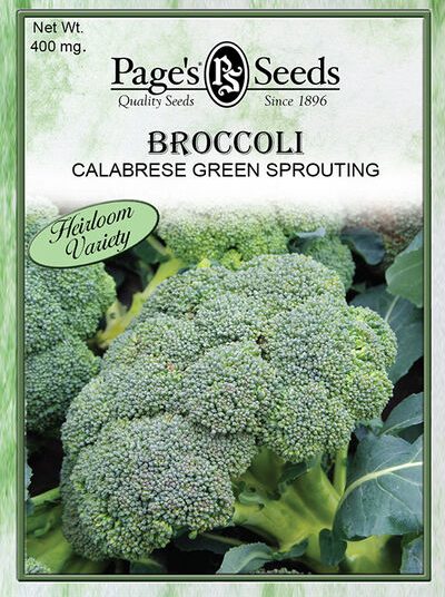 Broccoli Calabrese Green Sprouting