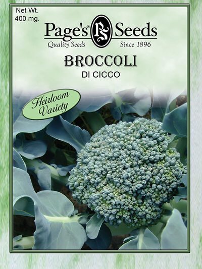 Broccoli Di Cicco
