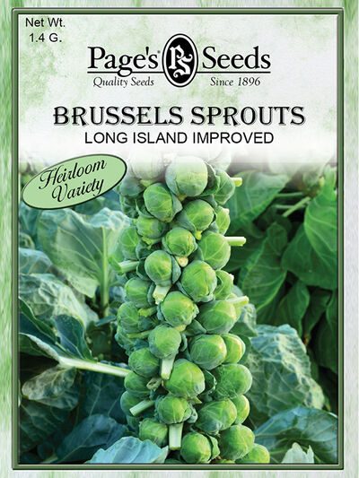Brussels Sprouts Long Island Imporved