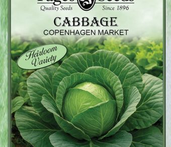 Cabbage Copenhagen Market