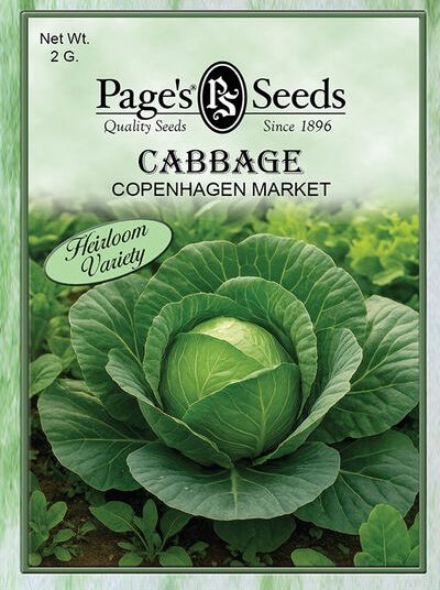 Cabbage Copenhagen Market