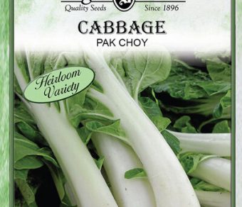 Cabbage Pak Choy