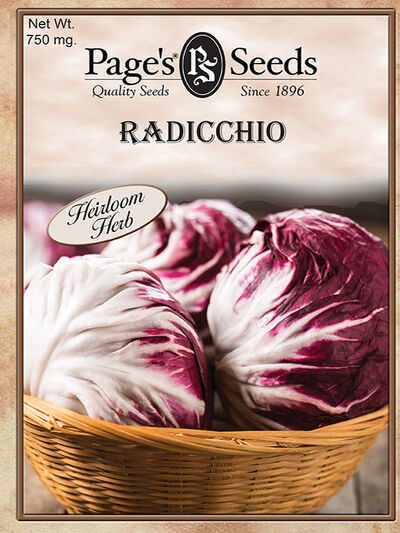 Radicchio