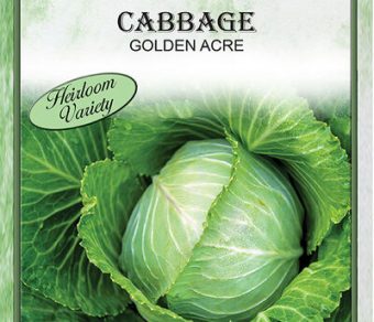 Cabbage Golden Acre