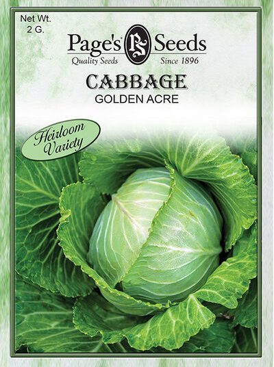 Cabbage Golden Acre