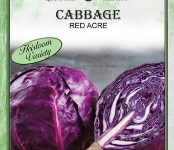 Cabbage Red Acre