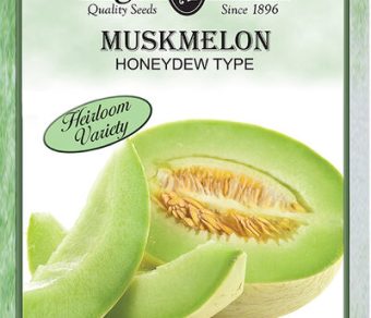 Muskmelon Honeydew