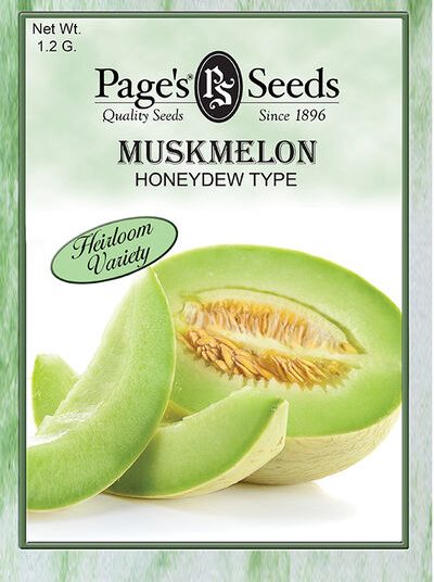 Muskmelon Honeydew