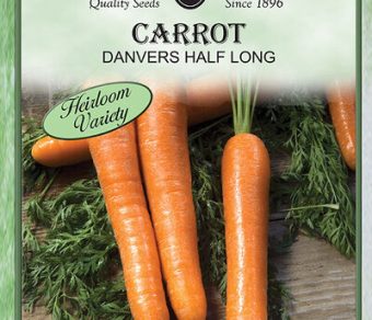 Carrot Dnaver Half Long