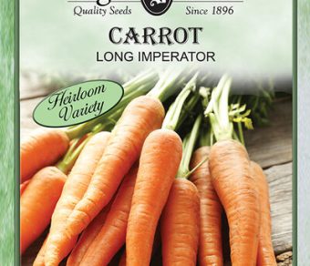 Carrot Long Imperator