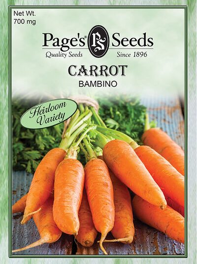 Carrot Bambino