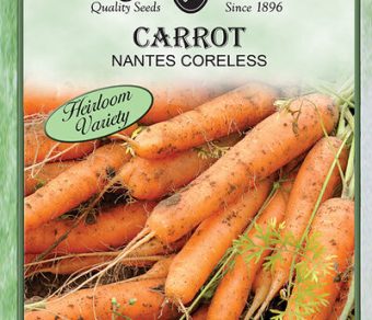 Carrot Nantes Coreless