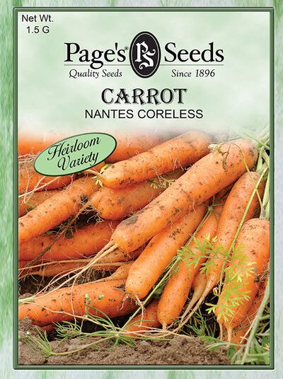 Carrot Nantes Coreless