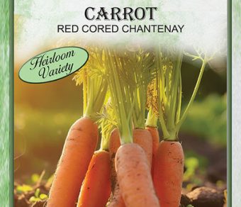 Carrot Red Cored Chantenay