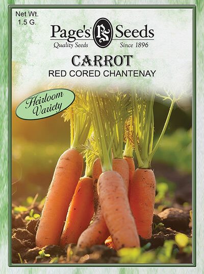 Carrot Red Cored Chantenay