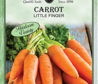 Carrot Little Finger