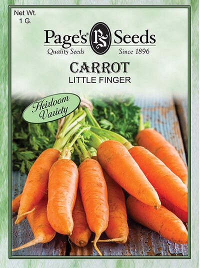 Carrot Little Finger