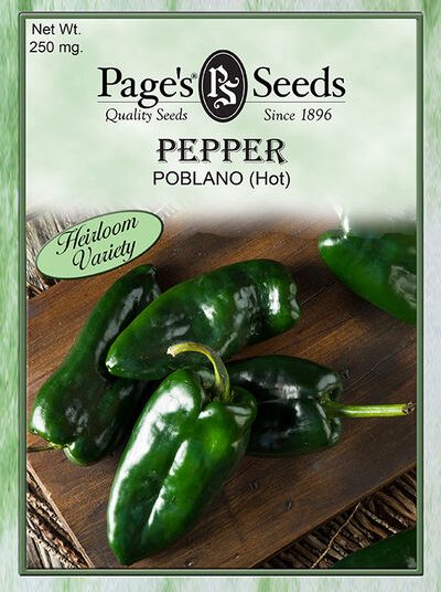 Pepper Poblano (hot)