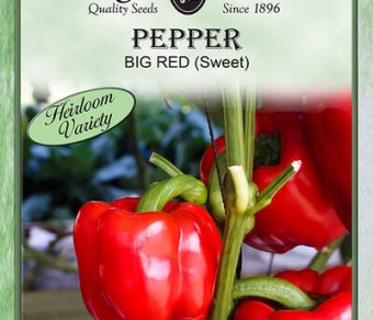 Pepper Big Red (Sweet)