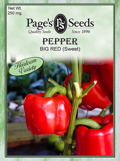 Pepper Big Red (Sweet)