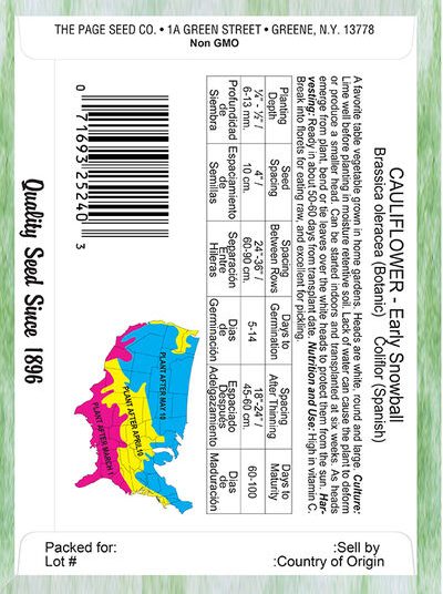 Cauliflower Early Snowball