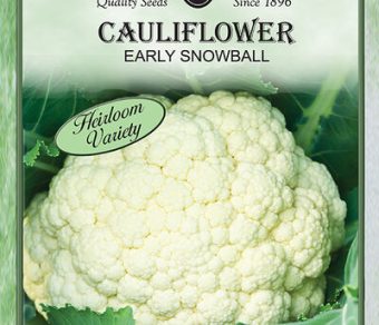 Cauliflower Early Snowball