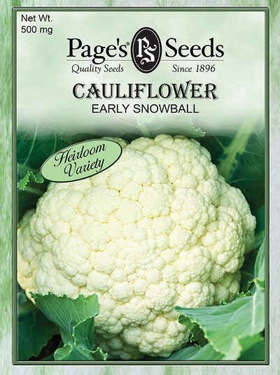 Cauliflower Early Snowball