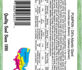 Pumpkin Dill's Atlantic Giant