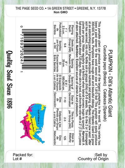 Pumpkin Dill's Atlantic Giant