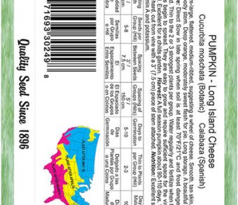 Pumpkin Long Island Cheese