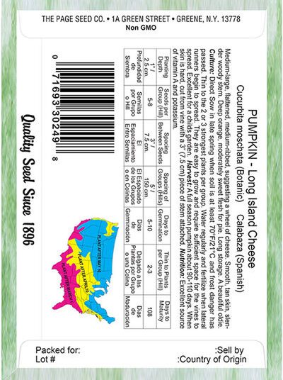 Pumpkin Long Island Cheese