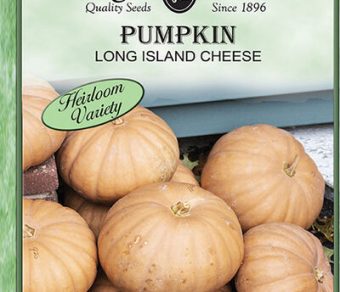 Pumpkin Long Island Cheese