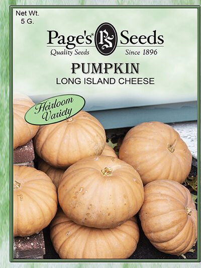 Pumpkin Long Island Cheese
