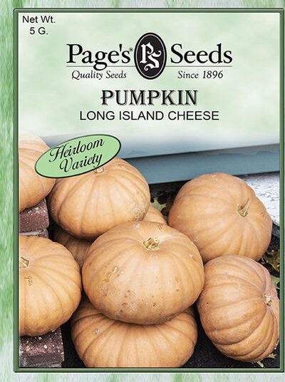 Pumpkin Long Island Cheese