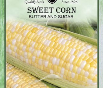 Sweet Corn Butter and Sugar