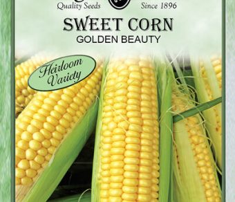 Sweet Corn Golden Beauty