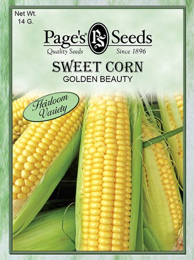 Sweet Corn Golden Beauty