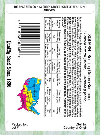 Squash Benning Green (Summer)