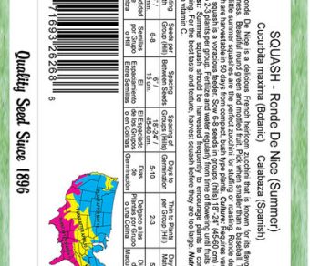 Squash Ronde De Nice (Summer)