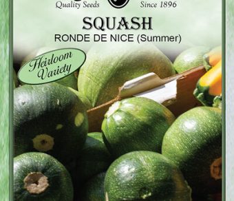 Squash Ronde De Nice (Summer)