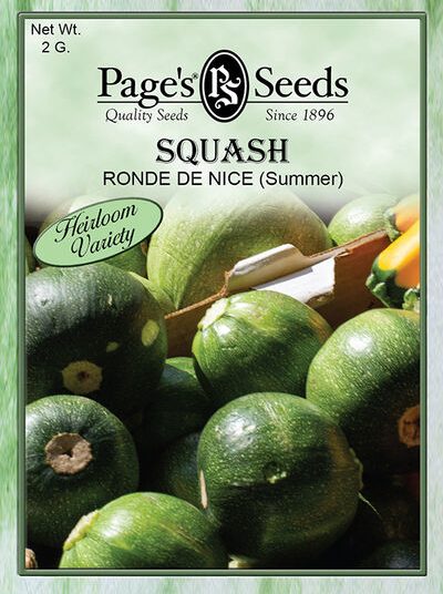 Squash Ronde De Nice (Summer)